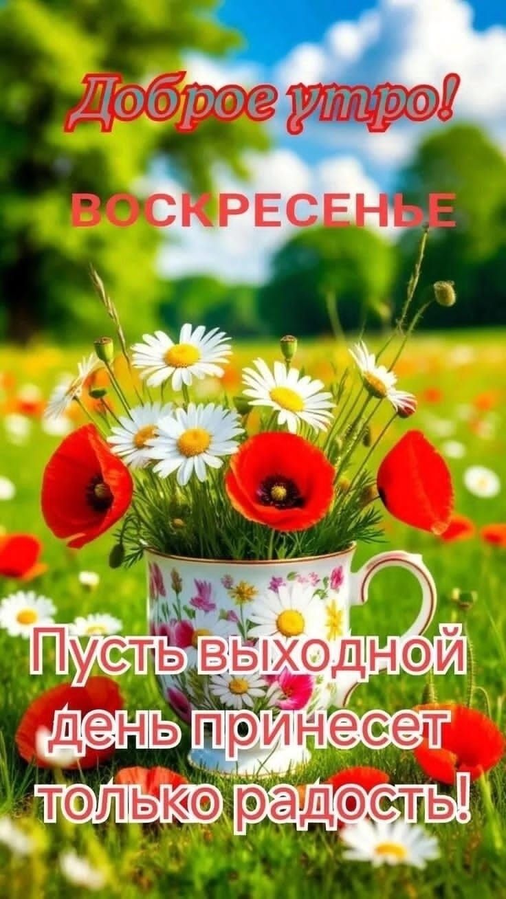 Доброе утро! ВОСКРЕСЕНЬЕ
Пусть выходной день принесет только радость!