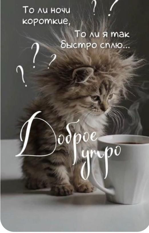 Доброе утро
То ли ночи короткие,
То ли я так быстро сплю...