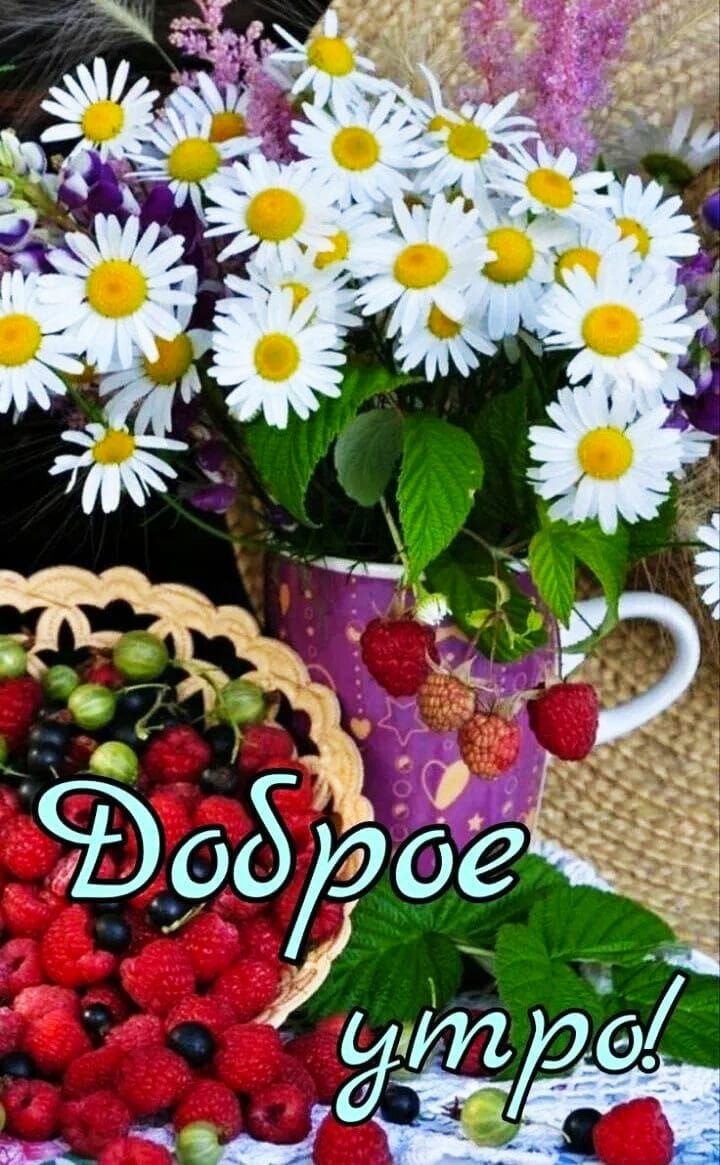 Доброе утро!