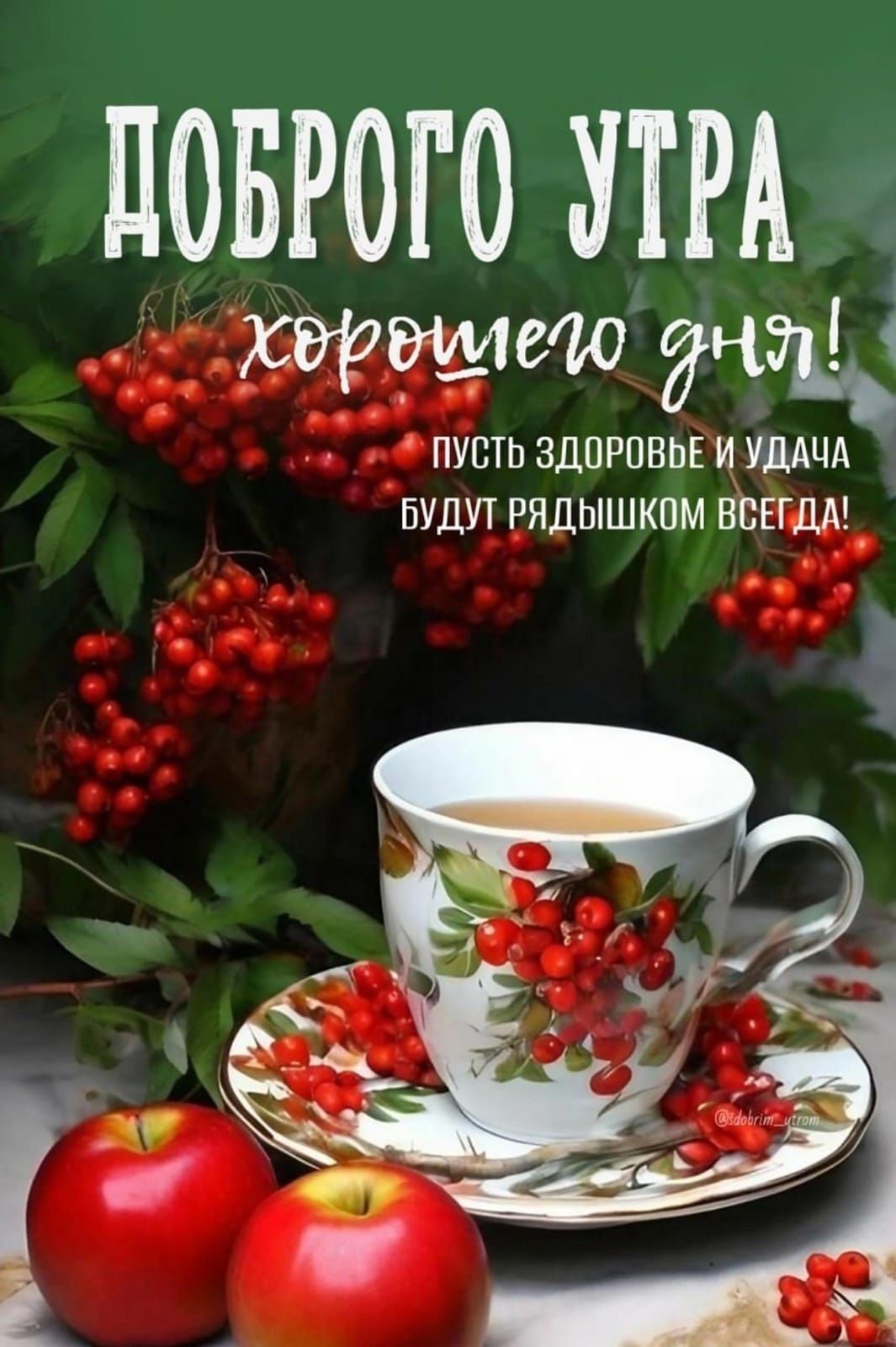 ДОБРОГО УТРА хорошего дня! ПУСТЬ ЗДОРОВЬЕ И УДАЧА БУДУТ РЯДЫШКОМ ВСЕГДА!