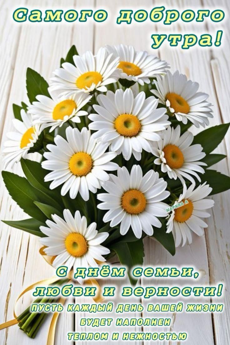 Самого доброго утра! С днём семьи, любви и верности! Пусть каждый день вашей жизни будет наполнен теплом и нежностью.