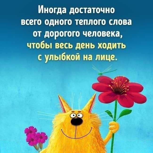 Иногда достаточно всего одного теплого слова от дорогого человека, чтобы весь день ходить с улыбкой на лице.