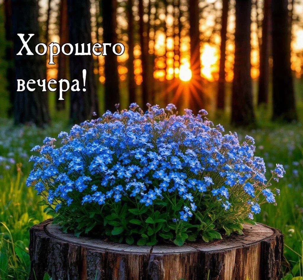 Хорошего вечера!