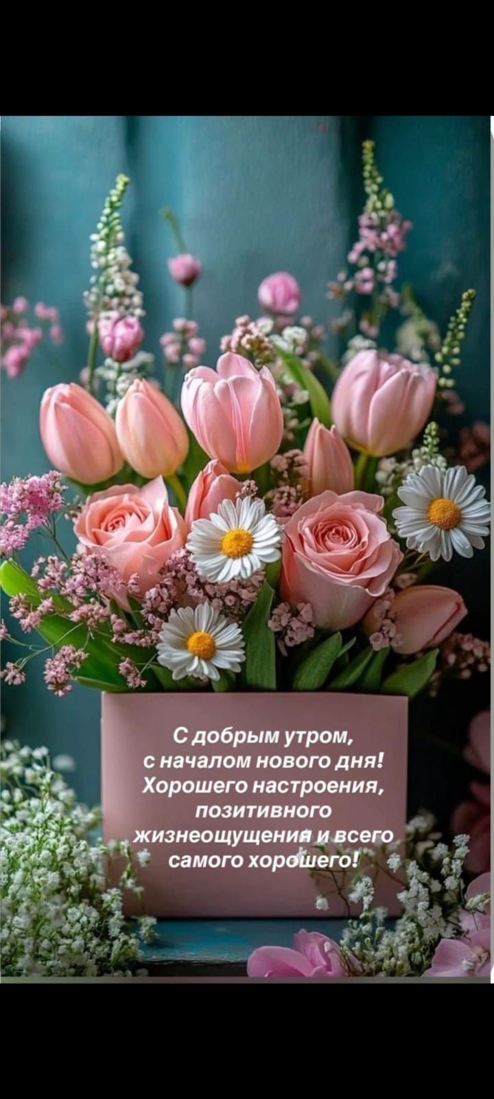 С добрым утром, с началом нового дня! Хорошего настроения, позитивного жизнеощущения и всего самого хорошего!