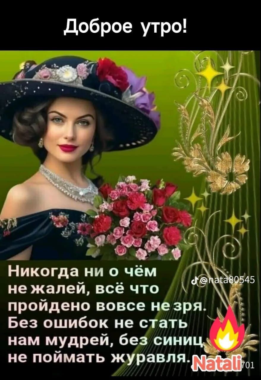 Доброе утро! Никогда ни о чём не жалей, всё что пройдено вовсе не зря. Без ошибок не стать нам мудрей, без синец не поймать журавля.