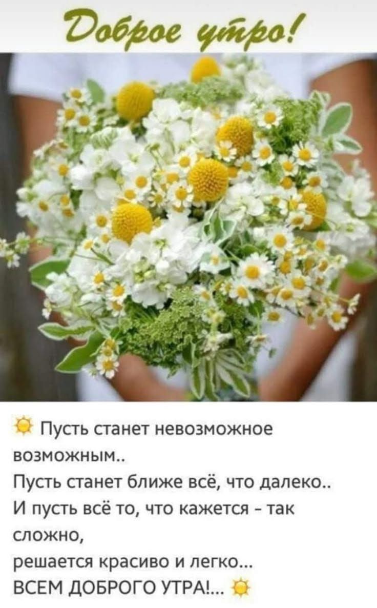 Доброе утро! 
☀️ Пусть станет невозможное возможным.. 
Пусть станет ближе всё, что далёко.. 
И пусть всё то, что кажется – так сложно, 
решается красиво и легко... 
ВСЕМ ДОБРОГО УТРА!... ☀️