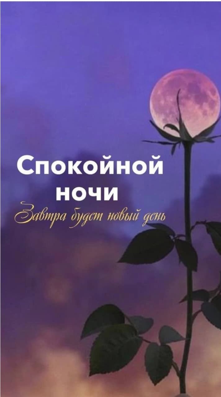 Спокойной ночи
Завтра будет новый день