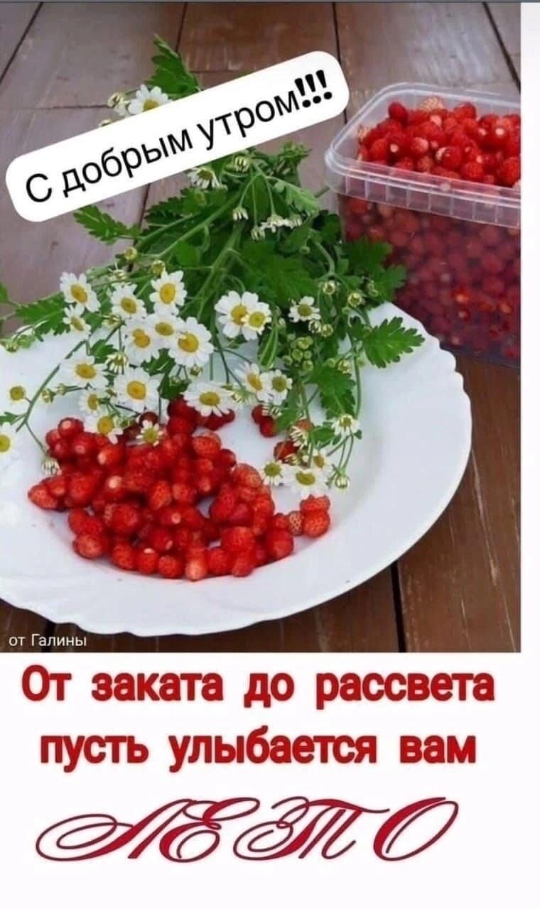 С добрым утром!!! От заката до рассвета пусть улыбается вам ЛЕТО