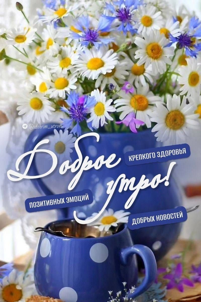 Доброе утро! Крепкого здоровья, позитивных эмоций, добрых новостей.