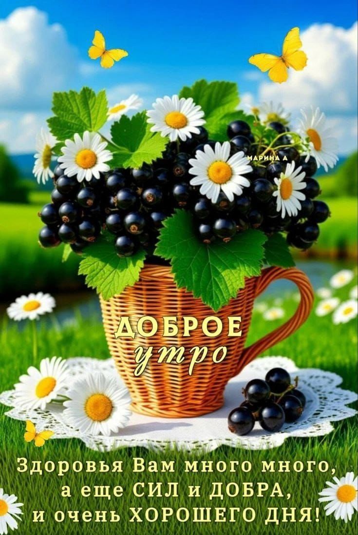 ДОБРОЕ утро
Здоровья Вам много много, а еще СИЛ и ДОБРА, и очень ХОРОШЕГО ДНЯ!