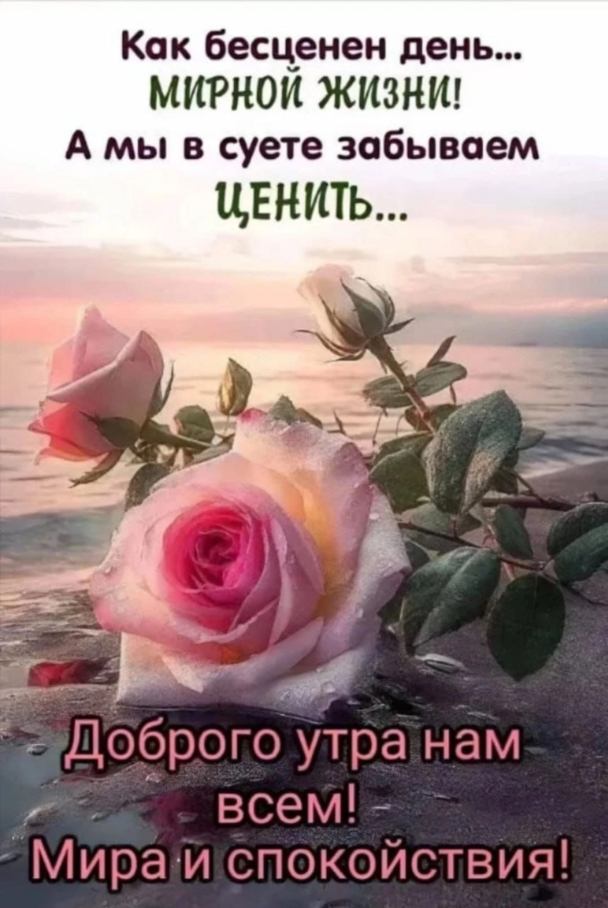 Как бесценен день... МИРНОЙ ЖИЗНИ! А мы в суете забываем ЦЕНИТЬ... Доброого утра нам всем! Мира и спокойствия!