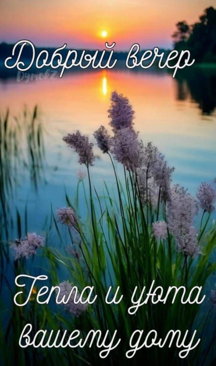 Добрый вечер
Тепла и уюта вашему дому