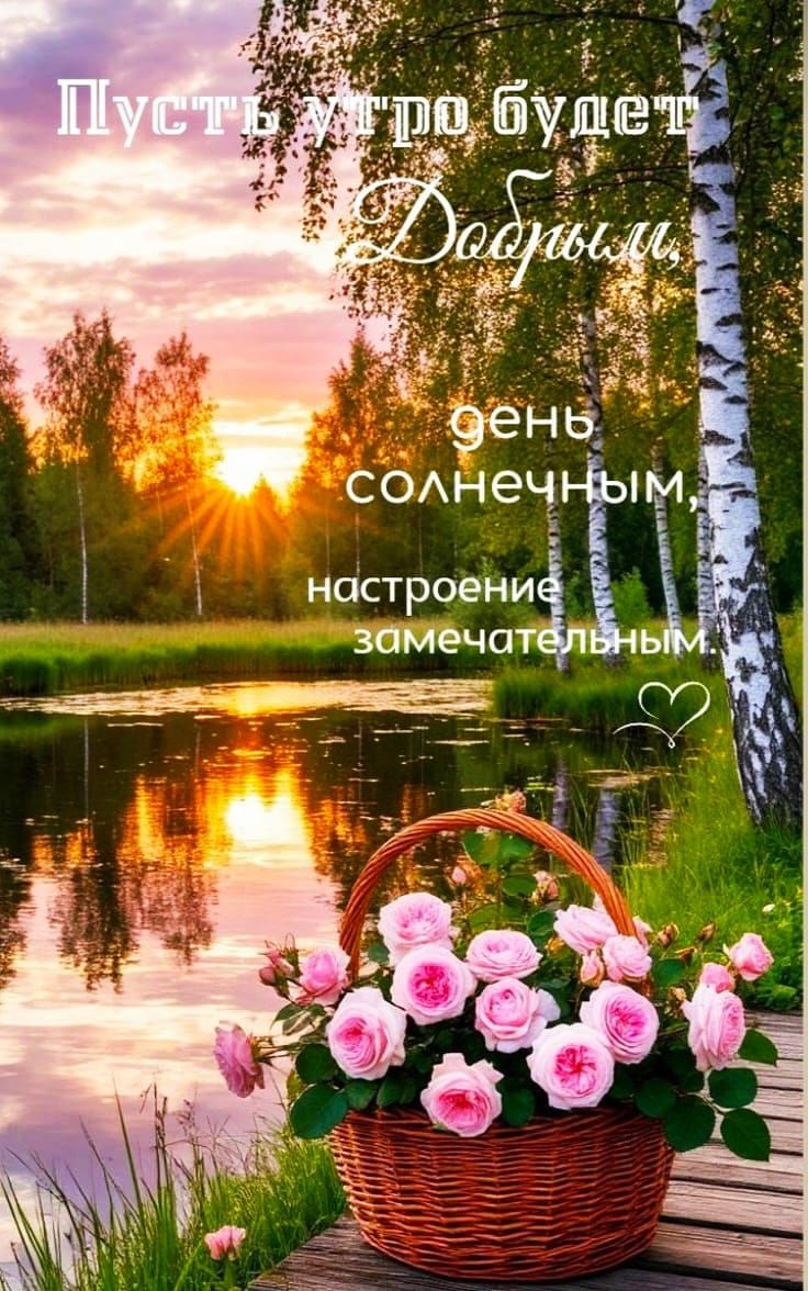 Пусть утро будет Добрым, день солнечным, настроение замечательным.