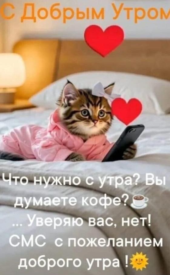 С Добрым Утром
Что нужно с утра? Вы думаете кофе? ... Уверяю вас, нет! СМС с пожеланием доброго утра!