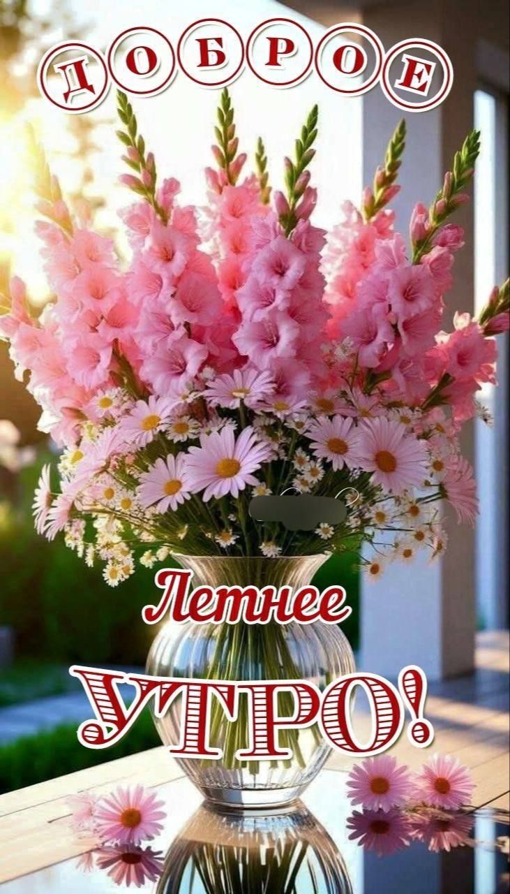 ДОБРОЕ Летнее УТРО!