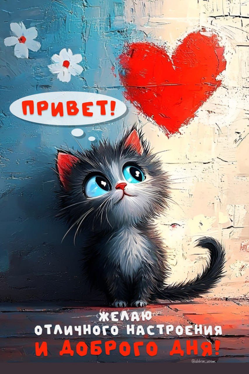 ПРИВЕТ! ЖЕЛАЮ ОТЛИЧНОГО НАСТРОЕНИЯ И ДОБРОГО ДНЯ!