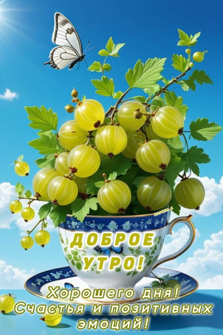 ДОБРОЕ УТРО!
Хорошего дня!
Счастья и позитивных эмоций!