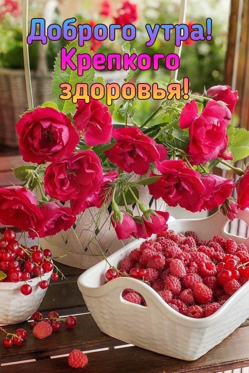 Доброе утро! Крепкого здоровья!
