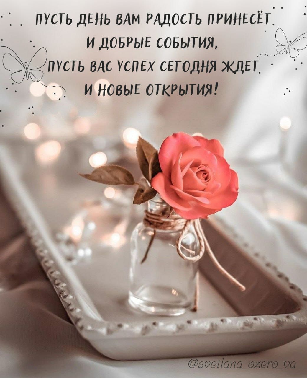 Пусть день вам радость принесёт
и добрые события,
пусть вас успех сегодня ждёт,
и новые открытия!