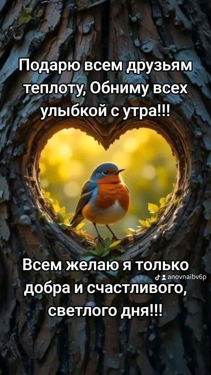 Подарю всем друзьям теплоту, Обниму всех улыбкой с утра!!! Всем желаю я только добра и счастливого, светлого дня!!!