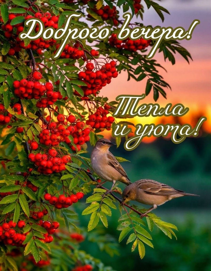 Доброе вечера! Тепла и уюта!