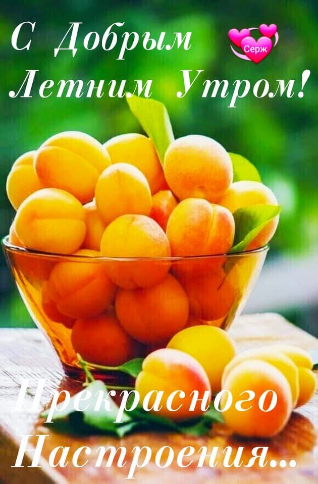 С Добрым Летним Утром! Прекрасного Настроения...