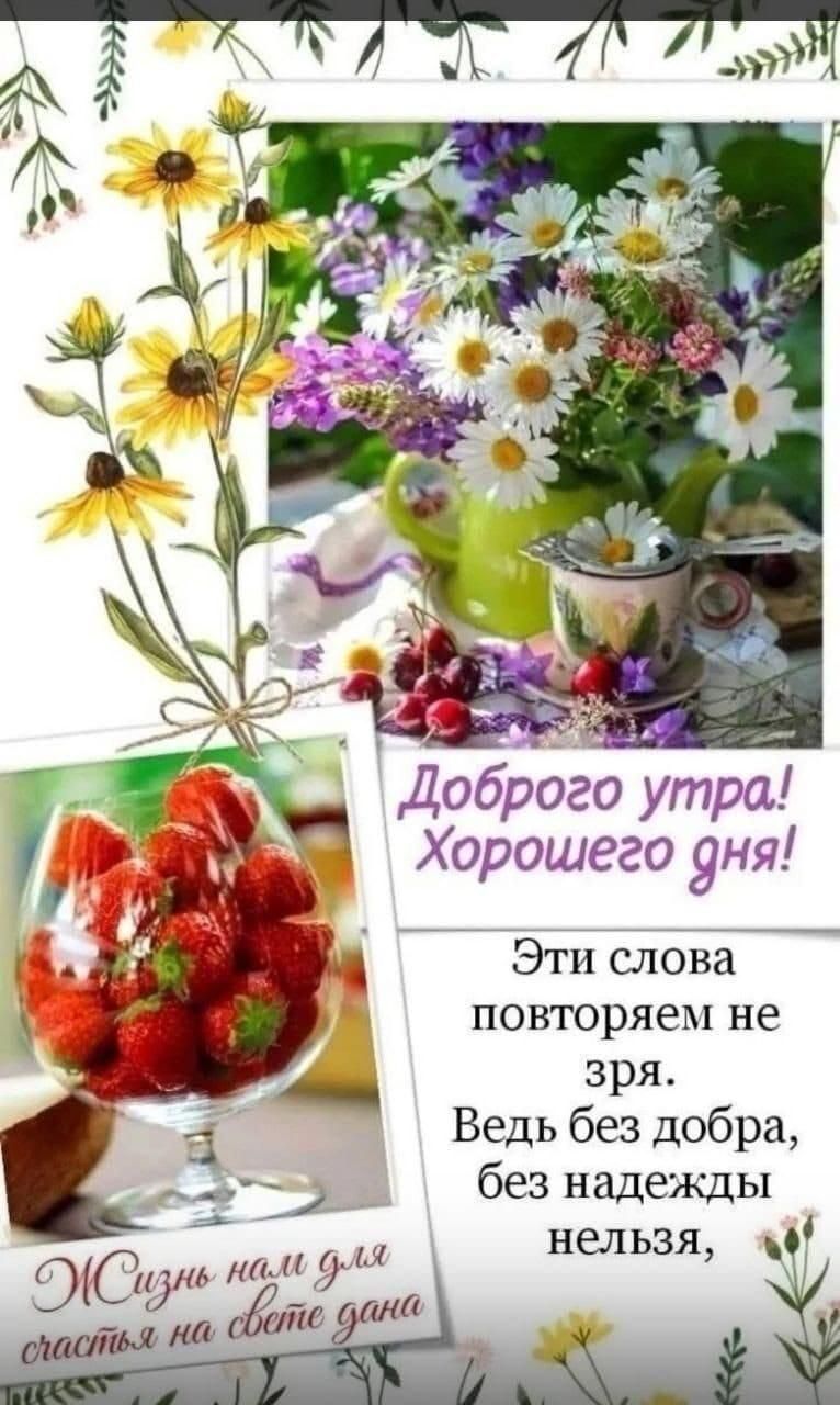 Доброе утро! Хорошего дня! Эти слова повторяем не зря. Ведь без добра, без надежды нельзя, Жизнь нам для счастья на свете дана.