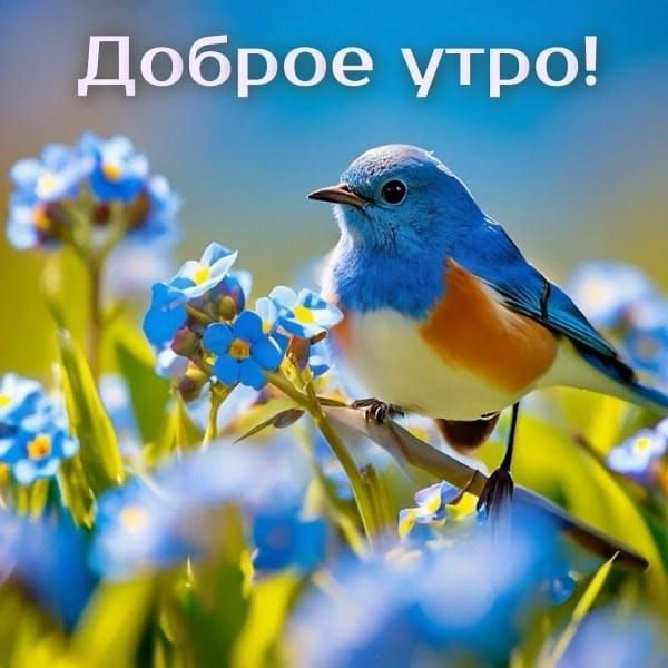 Доброе утро!