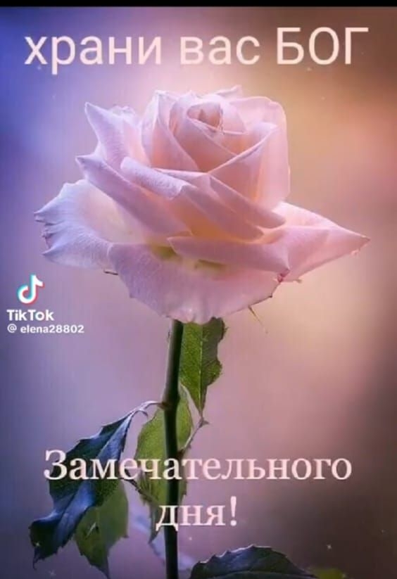 храни вас БОГ Замечательного дня!