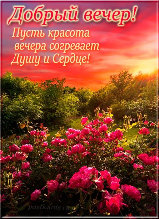 Добрый вечер! Пусть красота вечера согревает Душу и Сердце!