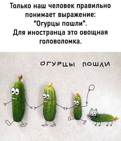 Только наш человек правильно понимает выражение: 