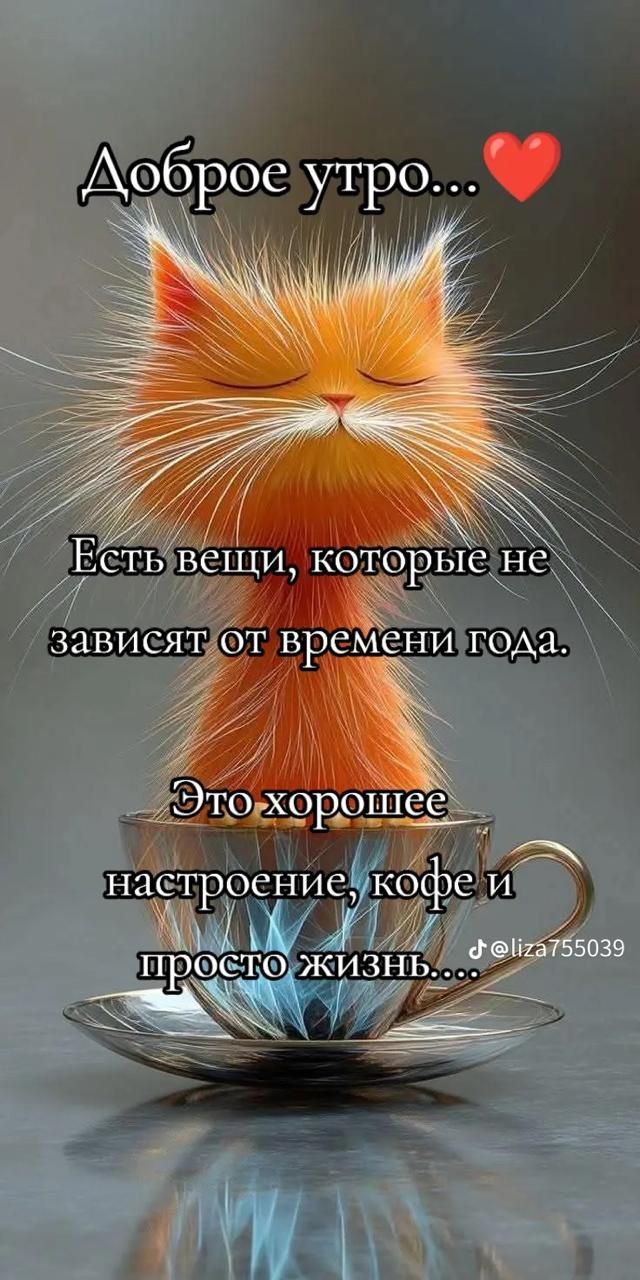 Доброе утро... ❤️
Есть вещи, которые не зависят от времени года.
Это хорошее настроение, кофе и просто жизнь....