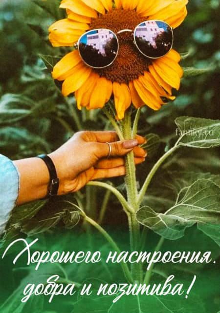 Хорошего настроения. добра и позитива!