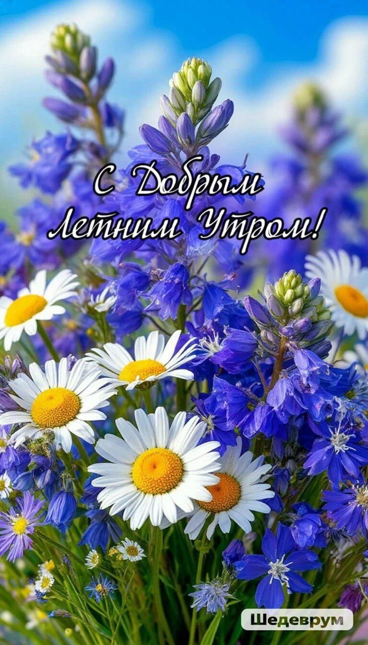 С Добрым летним Утром!
