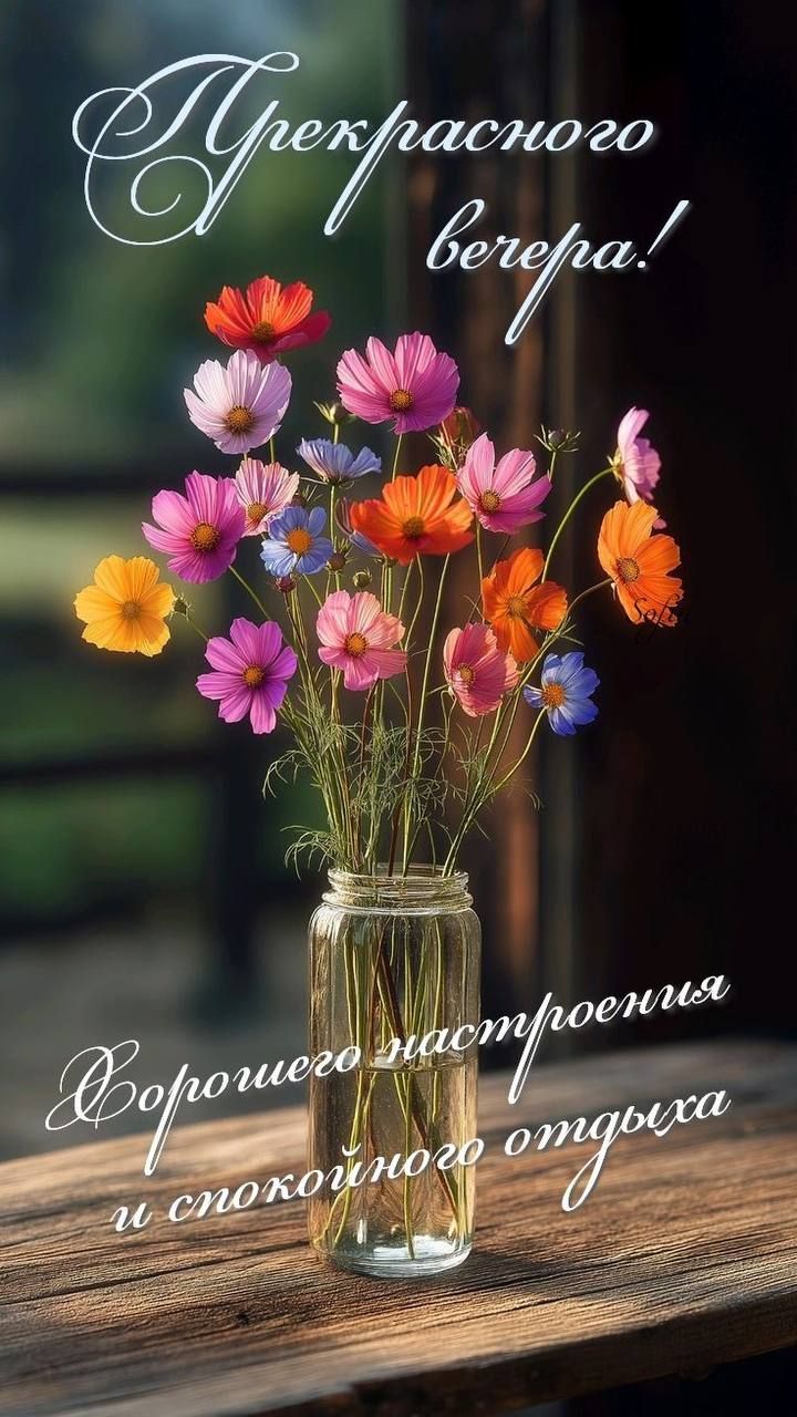 Прекрасного вечера! Хорошего настроения и спокойного отдыха