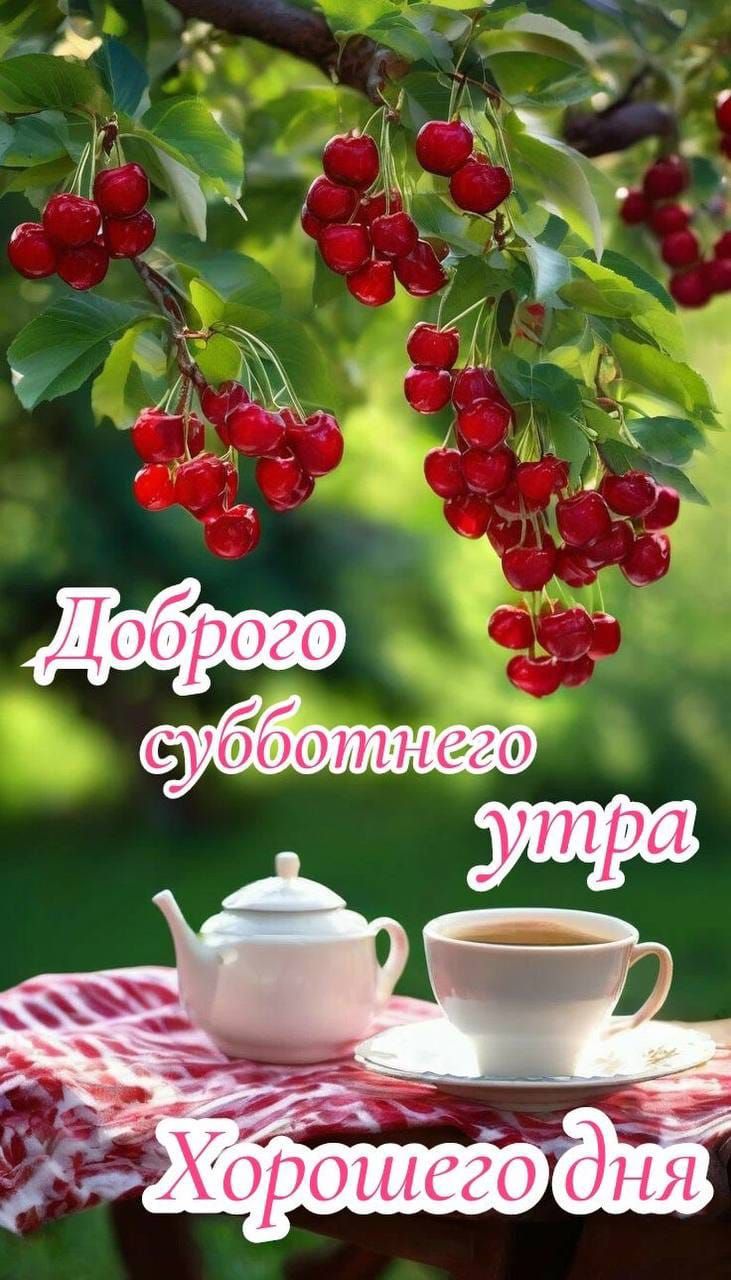 Доброго субботнего утра Хорошего дня