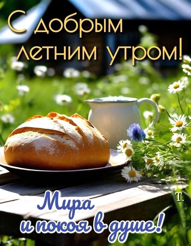 С добрым летним утром! Мира и покоя в душе!
