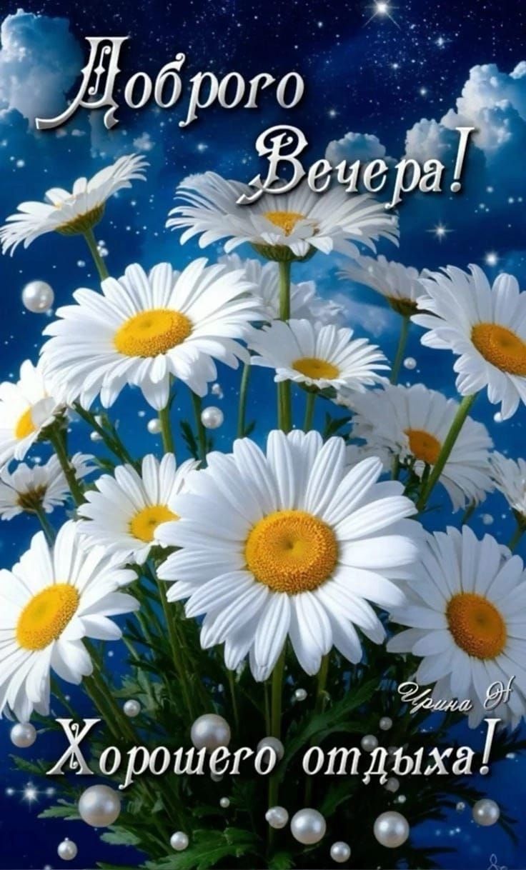 Доброего Вечера! Хорошего отдыха!