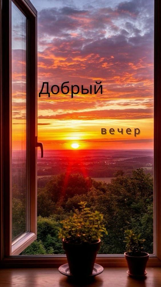 Добрый вечер