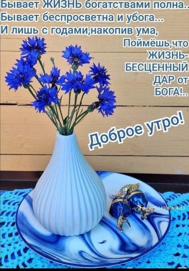 Бывает ЖИЗНЬ богатствами полна... Бывает беспросветна и убога... И лишь с годами, накопив ума, Поймешь, что ЖИЗНЬ- БЕСЦЕННЫЙ ДАР от БОГА!... Доброе утро!