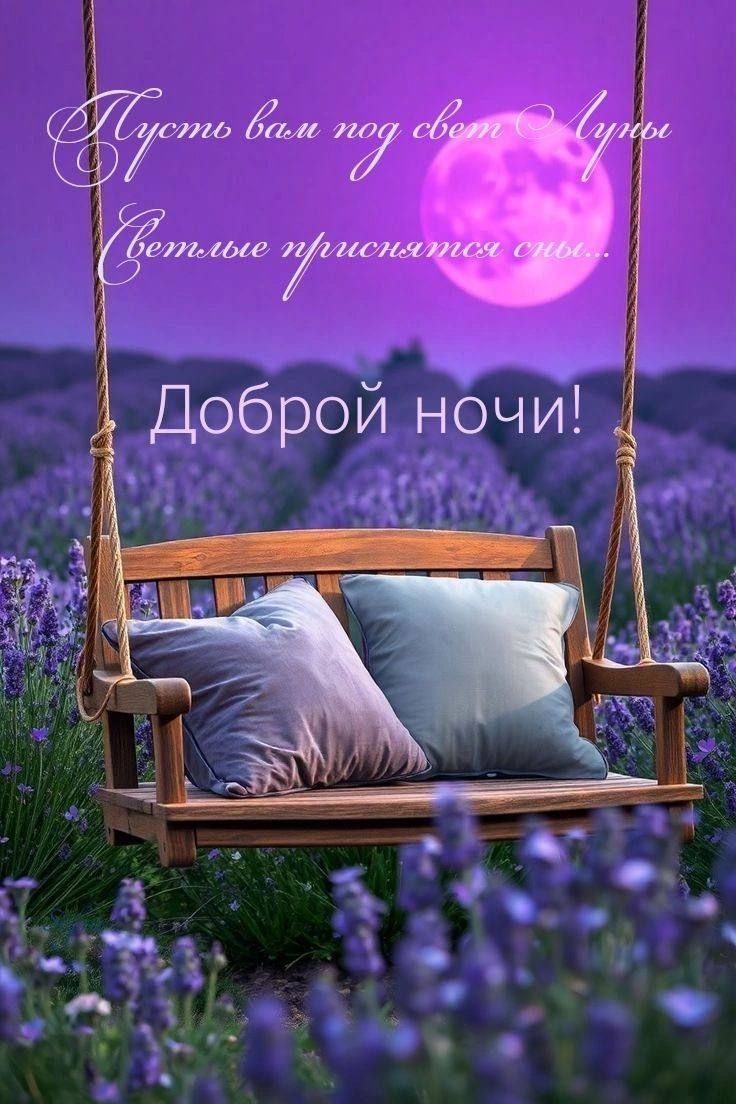 Пусть вам под свет Луны светлые приснятся сны... Доброй ночи!
