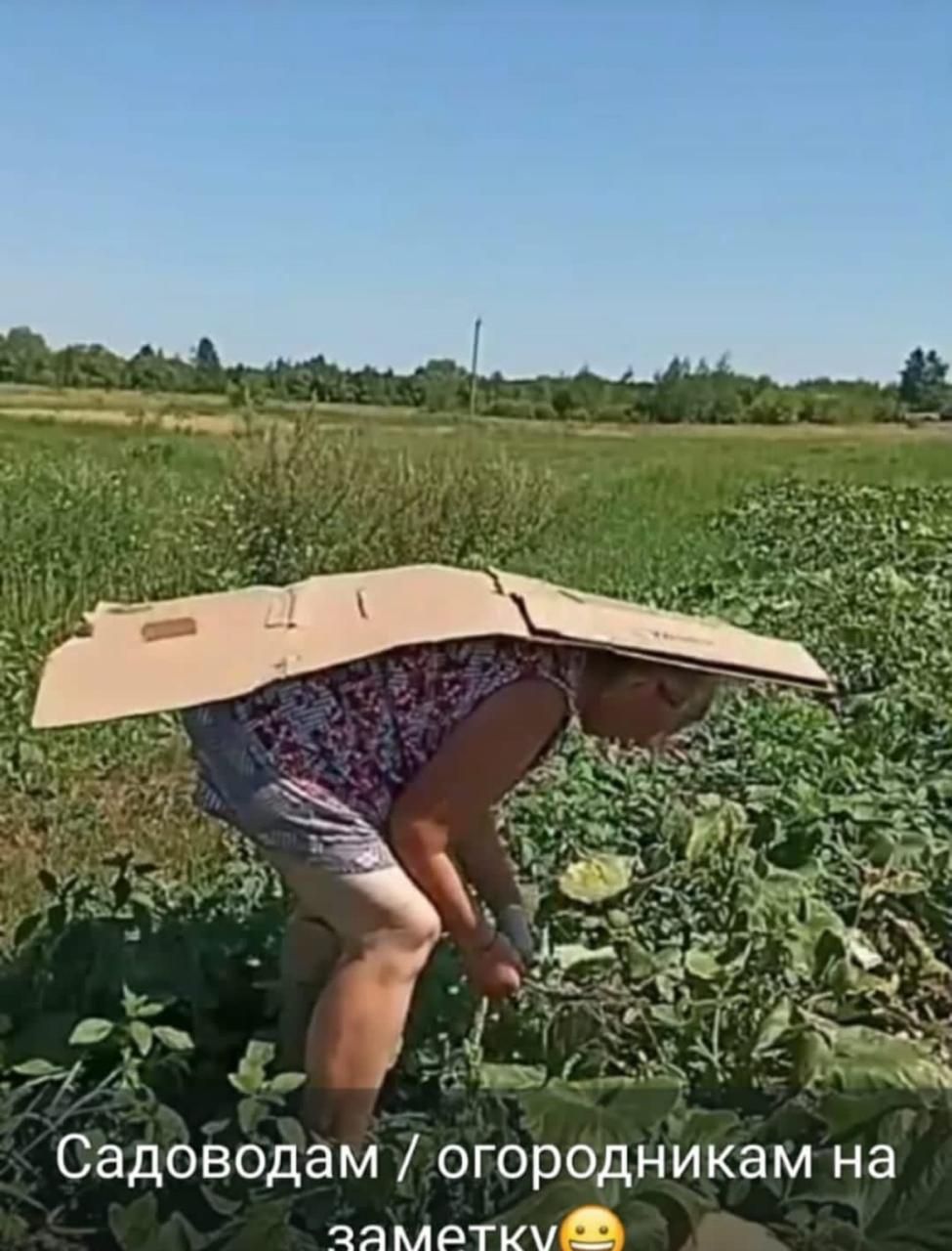 Садоводам / огородникам на заметку😊