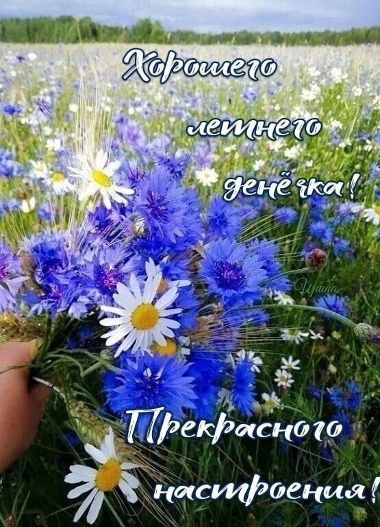 Хорошего летнего денька! Прекрасного настроения!