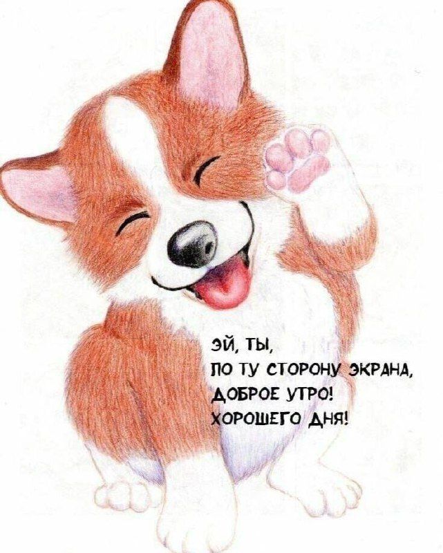 Эй, ты, по ту сторону экрана, доброе утро! Хорошего дня!