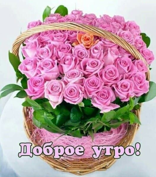 Доброе утро!