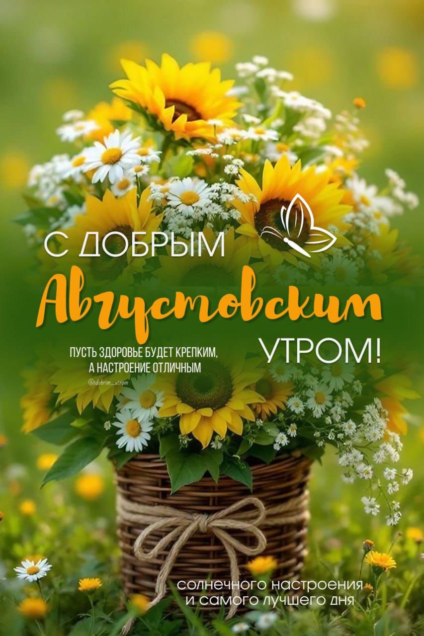 С ДОБРЫМ Августовским УТРОМ! Пусть здоровье будет крепким, а настроение отличным солнечного настроения и самого лучшего дня