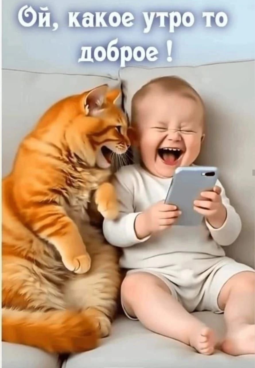 Ой, какое утро то доброе !