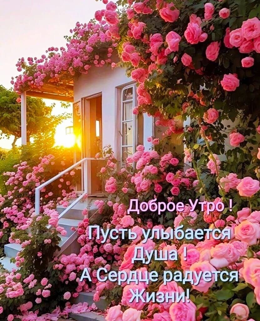 Доброе Утро ! Пусть улыбается Душа ! А Сердце радуется Жизни!