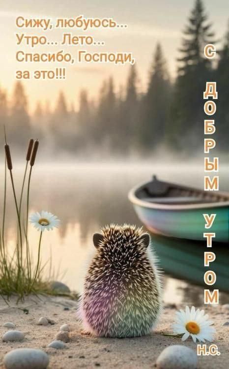 Сижу, люблю... Утро... Лето... Спасибо, Господи, за это!!!
С ДОБРЫМ УТРОМ
Н.С.