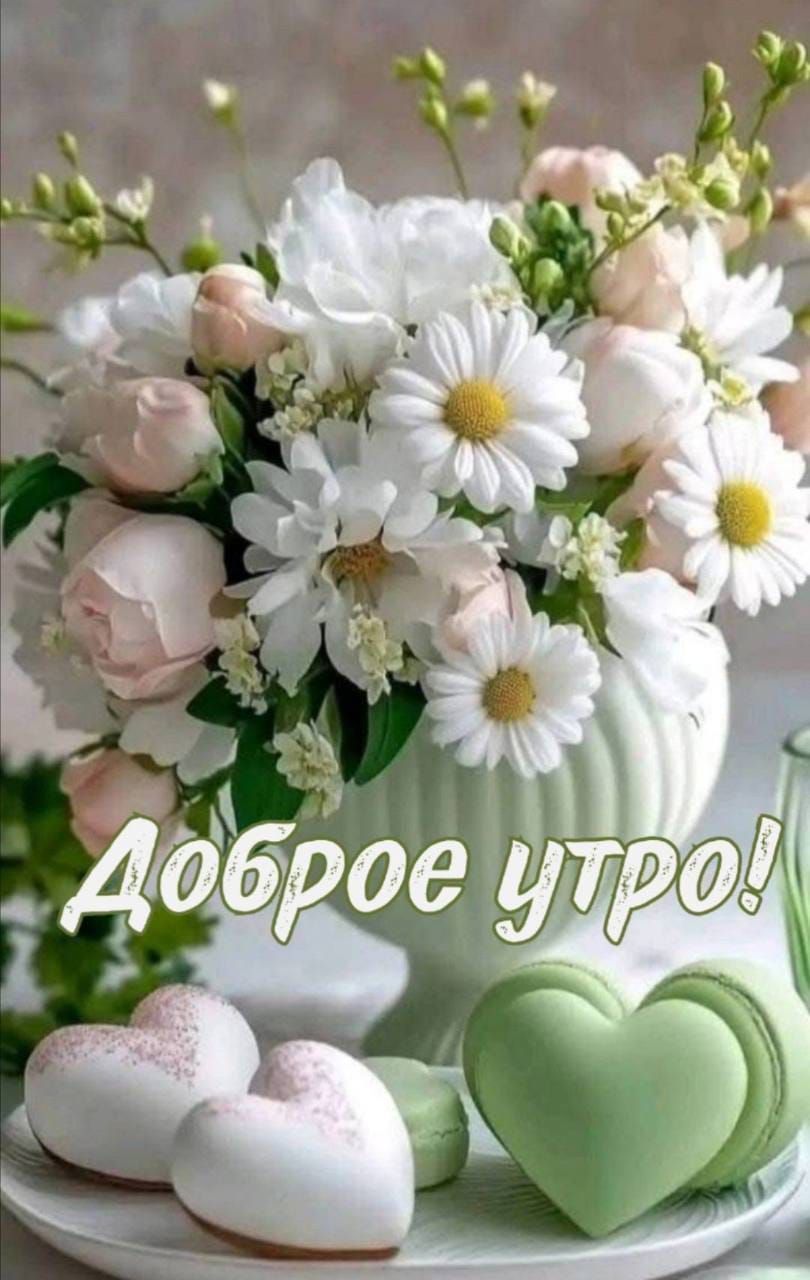 Доброе утро!